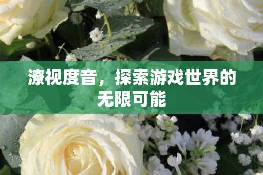 潦视度音，探索游戏世界的无限可能