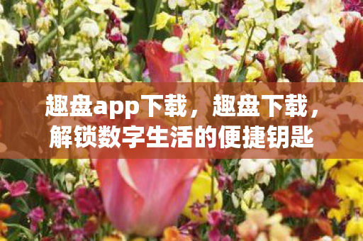 趣盘app下载，趣盘下载，解锁数字生活的便捷钥匙