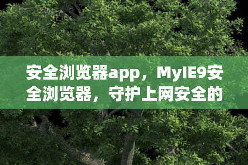 安全浏览器app，MyIE9安全浏览器，守护上网安全的智能选择