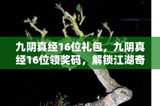 九阴真经16位礼包,九阴真经16位领奖码,解锁江湖奇遇的密钥 九阴真经16位礼包,九阴真经16位领奖码,解锁江湖奇遇的密钥