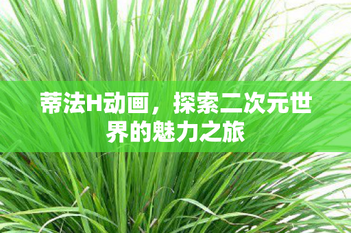 蒂法H动画,探索二次元世界的魅力之旅 蒂法H动画,探索二次元世界的魅力之旅