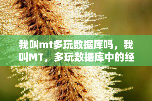 我叫mt多玩数据库吗,我叫MT,多玩数据库中的经典与传承 我叫mt多玩数据库吗,我叫MT,多玩数据库中的经典与传承