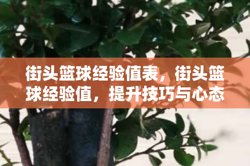街头篮球经验值表,街头篮球经验值,提升技巧与心态的全方位指南 街头篮球经验值表,街头篮球经验值,提升技巧与心态的全方位指南
