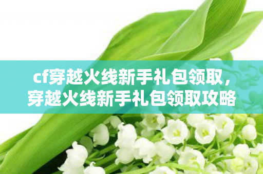 cf穿越火线新手礼包领取,穿越火线新手礼包领取攻略,快速上手,赢在起跑线! cf穿越火线新手礼包领取,穿越火线新手礼包领取攻略,快速上手,赢在起跑线!