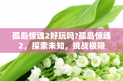 孤岛惊魂2好玩吗?孤岛惊魂2,探索未知,挑战极限 孤岛惊魂2好玩吗?孤岛惊魂2,探索未知,挑战极限