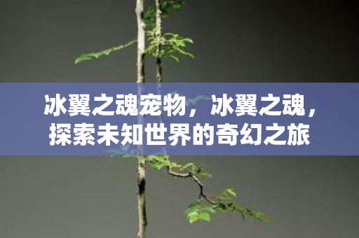 冰翼之魂宠物，冰翼之魂，探索未知世界的奇幻之旅