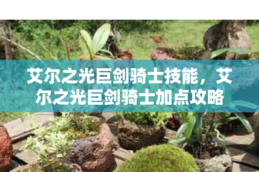 艾尔之光巨剑骑士技能,艾尔之光巨剑骑士加点攻略 艾尔之光巨剑骑士技能,艾尔之光巨剑骑士加点攻略