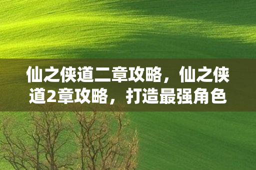 仙之侠道二章攻略，仙之侠道2章攻略，打造最强角色，征服江湖！