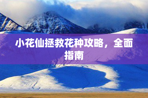 小花仙拯救花种攻略,全面指南 小花仙拯救花种攻略,全面指南