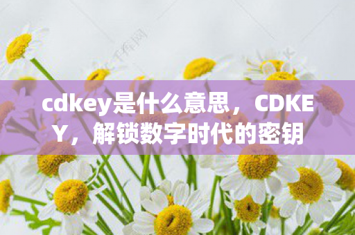 cdkey是什么意思,CDKEY,解锁数字时代的密钥 cdkey是什么意思,CDKEY,解锁数字时代的密钥