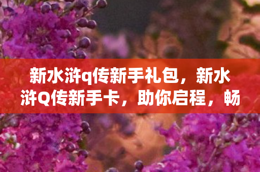 新水浒q传新手礼包,新水浒Q传新手卡,助你启程,畅游水浒世界 新水浒q传新手礼包,新水浒Q传新手卡,助你启程,畅游水浒世界