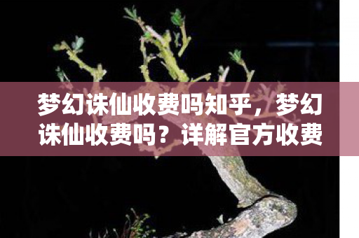 梦幻诛仙收费吗知乎，梦幻诛仙收费吗？详解官方收费模式与玩家体验
