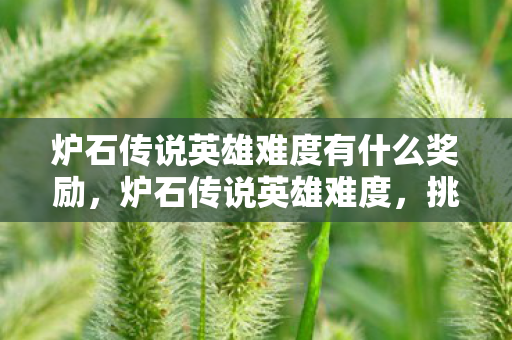 炉石传说英雄难度有什么奖励，炉石传说英雄难度，挑战与策略的深度剖析