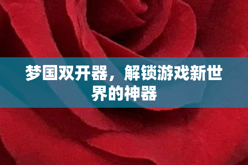 梦国双开器，解锁游戏新世界的神器