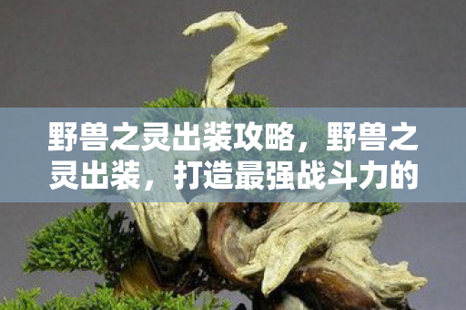 野兽之灵出装攻略，野兽之灵出装，打造最强战斗力的秘密