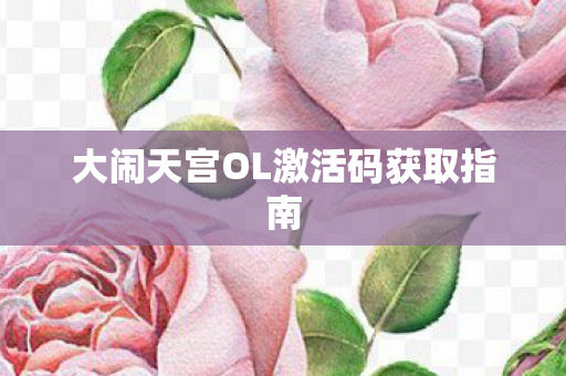 大闹天宫OL激活码获取指南 大闹天宫OL激活码获取指南