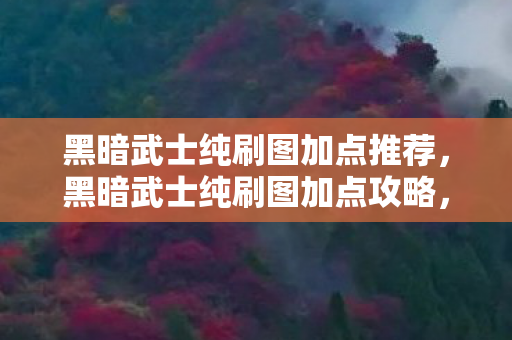 黑暗武士纯刷图加点推荐，黑暗武士纯刷图加点攻略，打造高效刷图体验
