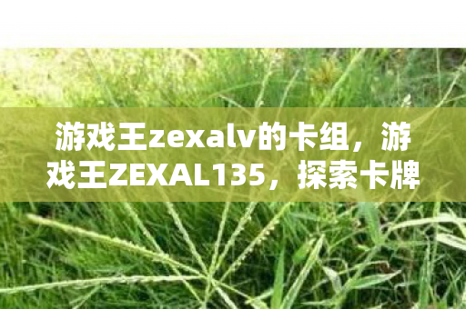 游戏王zexalv的卡组，游戏王ZEXAL135，探索卡牌游戏的深度与广度
