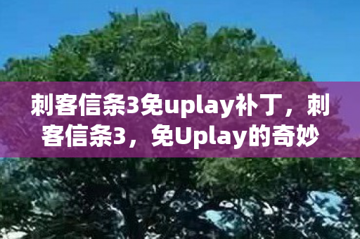 刺客信条3免uplay补丁，刺客信条3，免Uplay的奇妙之旅