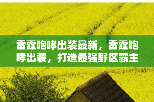 雷霆咆哮出装最新，雷霆咆哮出装，打造最强野区霸主