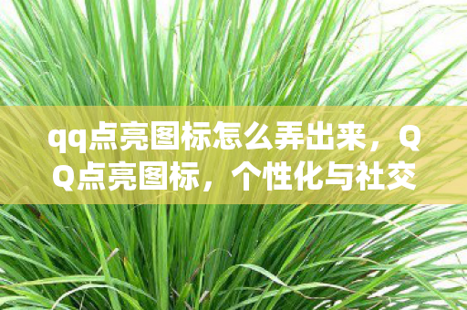 qq点亮图标怎么弄出来,QQ点亮图标,个性化与社交互动的巧妙结合 qq点亮图标怎么弄出来,QQ点亮图标,个性化与社交互动的巧妙结合