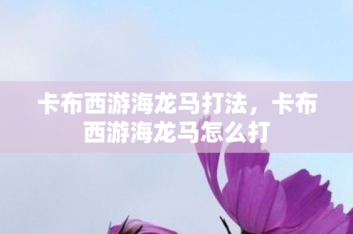 卡布西游海龙马打法，卡布西游海龙马怎么打