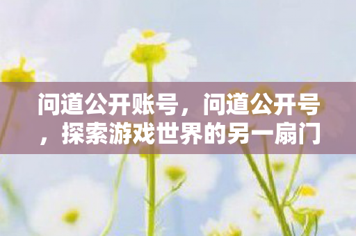 问道公开账号，问道公开号，探索游戏世界的另一扇门