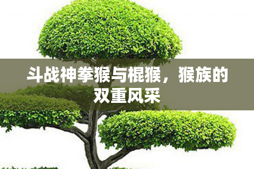 斗战神拳猴与棍猴，猴族的双重风采