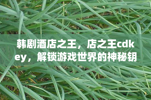 韩剧酒店之王，店之王cdkey，解锁游戏世界的神秘钥匙