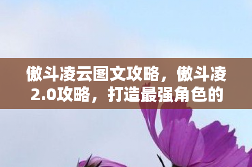 傲斗凌云图文攻略,傲斗凌2.0攻略,打造最强角色的关键步骤 傲斗凌云图文攻略,傲斗凌2.0攻略,打造最强角色的关键步骤