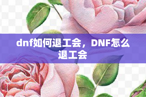 dnf如何退工会，DNF怎么退工会