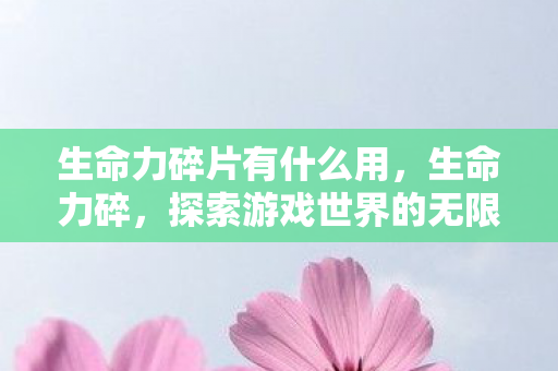 生命力碎片有什么用，生命力碎，探索游戏世界的无限可能