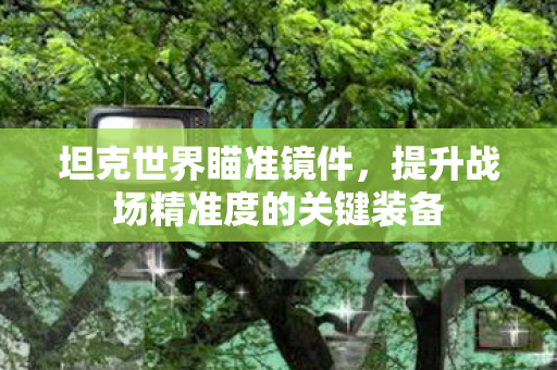 坦克世界瞄准镜件，提升战场精准度的关键装备