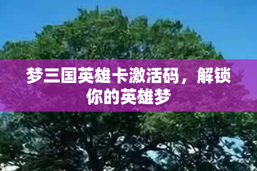 梦三国英雄卡激活码，解锁你的英雄梦