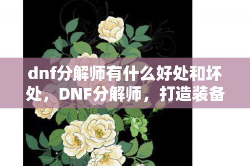 dnf分解师有什么好处和坏处，DNF分解师，打造装备新体验，提升角色实力
