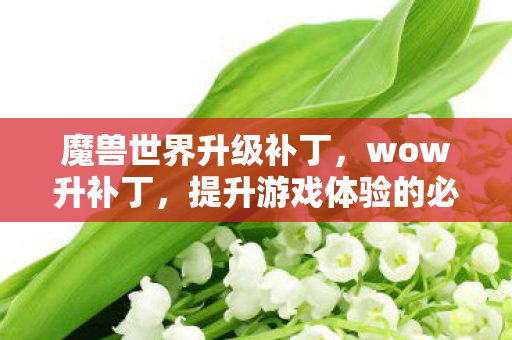 魔兽世界升级补丁，wow升补丁，提升游戏体验的必备神器