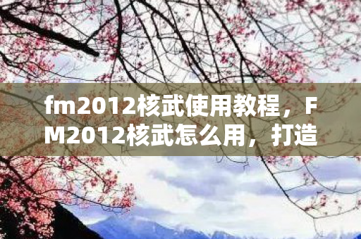 fm2012核武使用教程，FM2012核武怎么用，打造个性化游戏策略