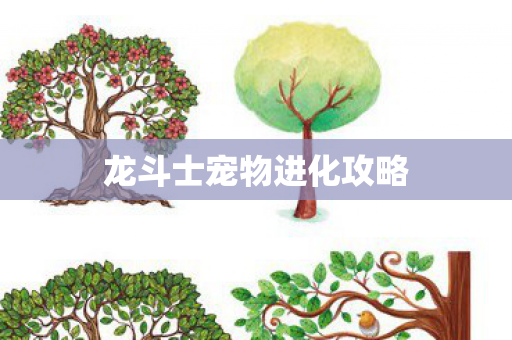 龙斗士宠物进化攻略 龙斗士宠物进化攻略