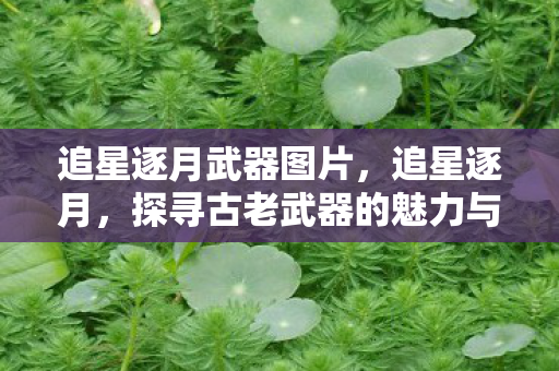 追星逐月武器图片,追星逐月,探寻古老武器的魅力与传奇 追星逐月武器图片,追星逐月,探寻古老武器的魅力与传奇