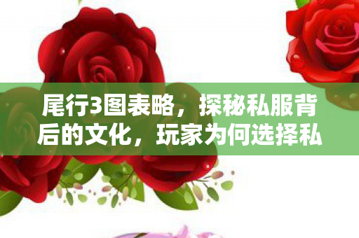 尾行3图表略,探秘私服背后的文化,玩家为何选择私服? 尾行3图表略,探秘私服背后的文化,玩家为何选择私服?