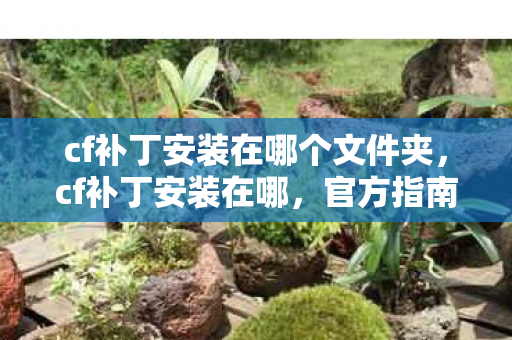 cf补丁安装在哪个文件夹,cf补丁安装在哪,官方指南与步骤详解 cf补丁安装在哪个文件夹,cf补丁安装在哪,官方指南与步骤详解