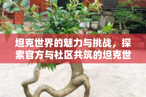 坦克世界的魅力与挑战,探索官方与社区共筑的坦克世界 坦克世界的魅力与挑战,探索官方与社区共筑的坦克世界