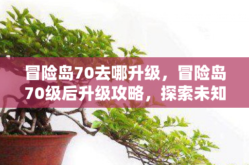 冒险岛70去哪升级,冒险岛70级后升级攻略,探索未知,挑战更高境界 冒险岛70去哪升级,冒险岛70级后升级攻略,探索未知,挑战更高境界