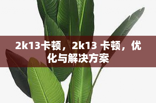 2k13卡顿，2k13 卡顿，优化与解决方案