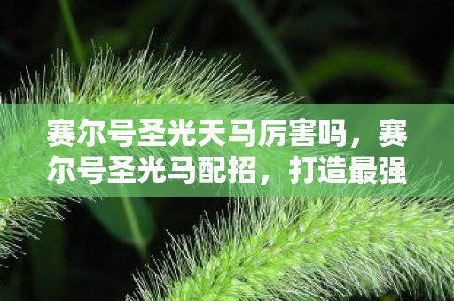赛尔号圣光天马厉害吗，赛尔号圣光马配招，打造最强战斗阵容