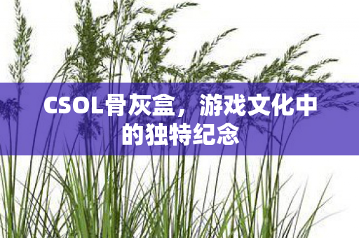 CSOL骨灰盒,游戏文化中的独特纪念 CSOL骨灰盒,游戏文化中的独特纪念