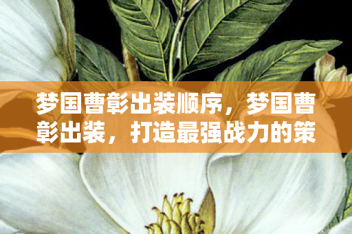 梦国曹彰出装顺序，梦国曹彰出装，打造最强战力的策略指南