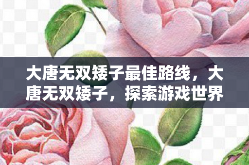 大唐无双矮子最佳路线，大唐无双矮子，探索游戏世界的独特魅力