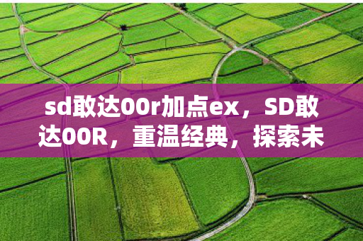 sd敢达00r加点ex,SD敢达00R,重温经典,探索未来机甲的无限可能 sd敢达00r加点ex,SD敢达00R,重温经典,探索未来机甲的无限可能