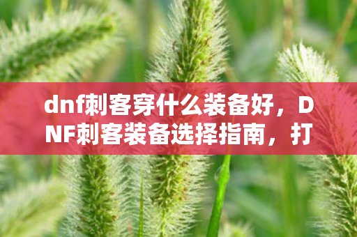 dnf刺客穿什么装备好,DNF刺客装备选择指南,打造高效爆发力的关键装备推荐 dnf刺客穿什么装备好,DNF刺客装备选择指南,打造高效爆发力的关键装备推荐